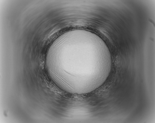 X0000099541015200805301456