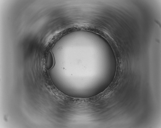 X0000099541016200805301456