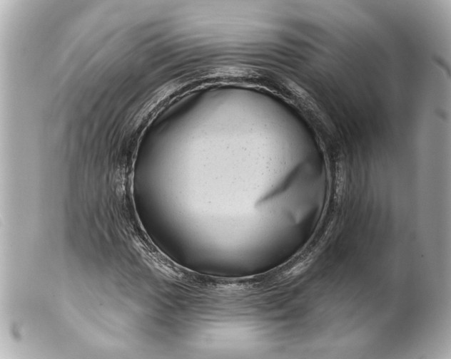 X0000099541017200805301456