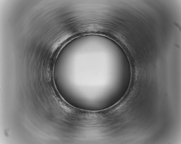 X0000099541018200805301456