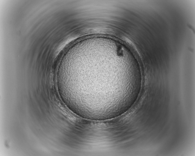 X0000099541019200805301456