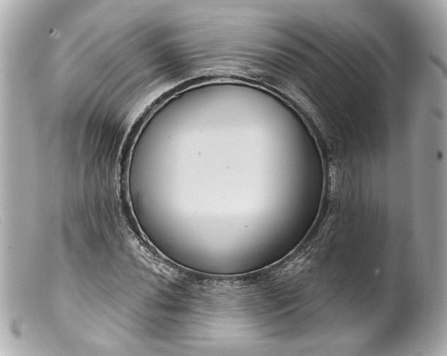 X0000099541020200805301456