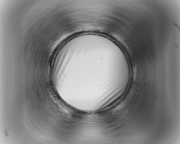 X0000099541021200805301456