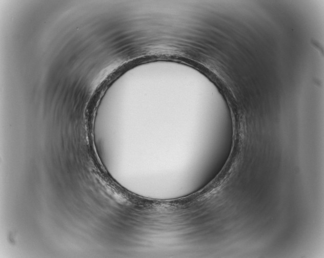 X0000099541022200805301456