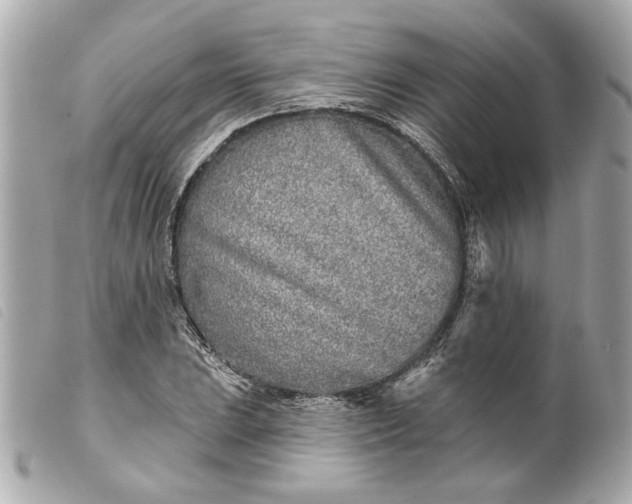 X0000099541023200805301456