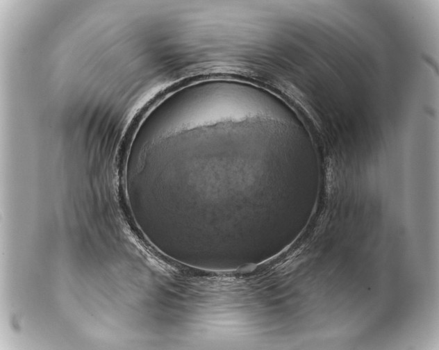 X0000099541024200805301456