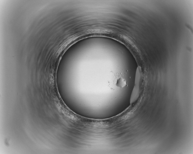 X0000099541025200805301456