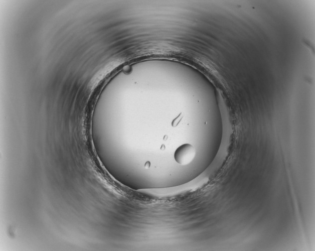 X0000099541026200805301456