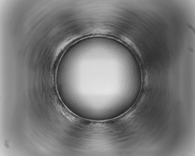 X0000099541027200805301456