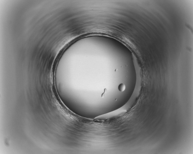 X0000099541028200805301456