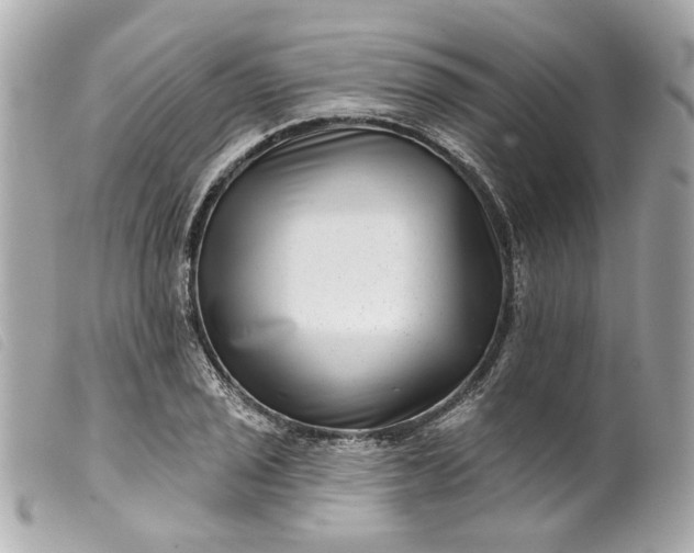 X0000099541029200805301456