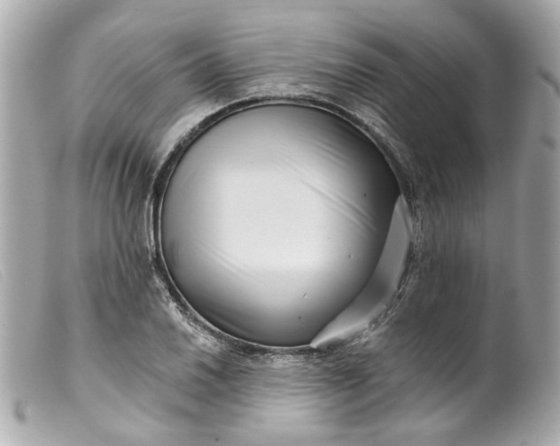 X0000099541030200805301456