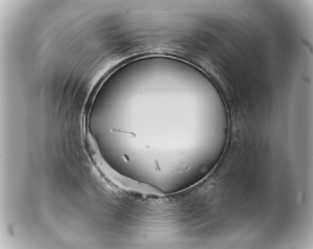 X0000099541032200805301456