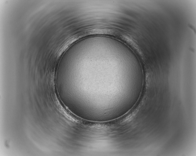 X0000099541033200805301456