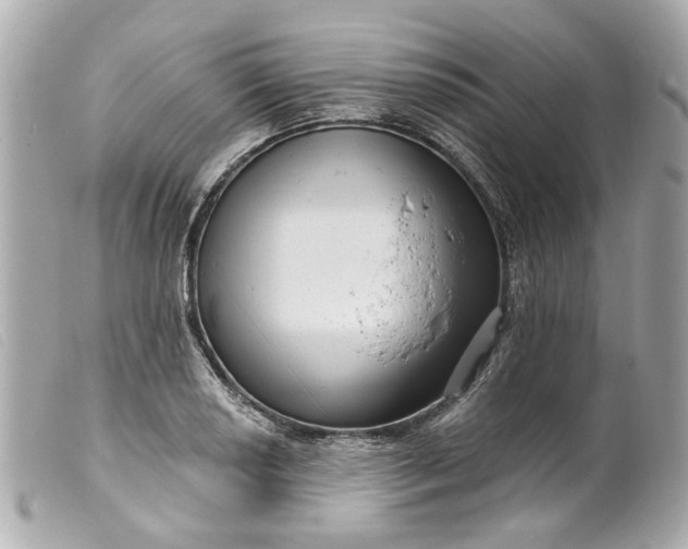 X0000099541034200805301456