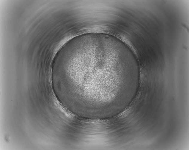 X0000099541035200805301456