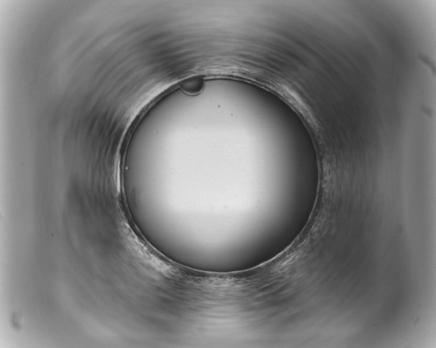 X0000099541036200805301456