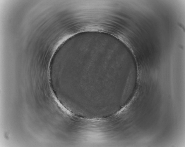 X0000099541037200805301456