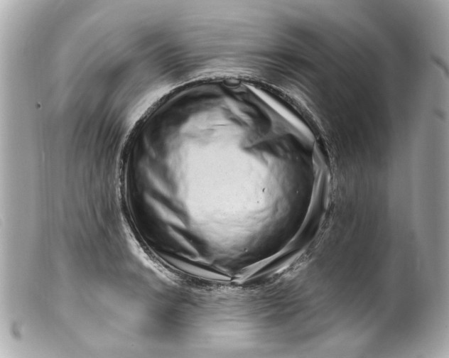 X0000099541038200805301456