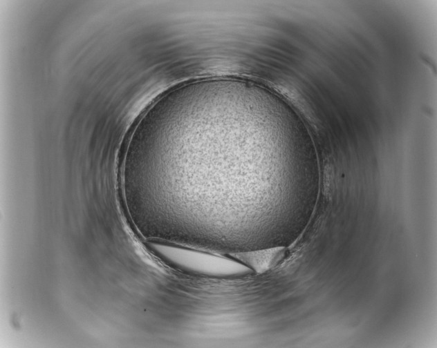 X0000099541039200805301456