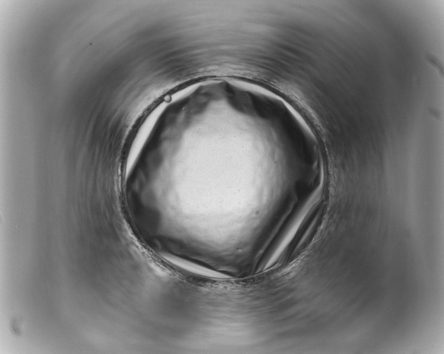 X0000099541040200805301456