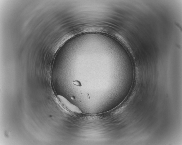 X0000099541041200805301456