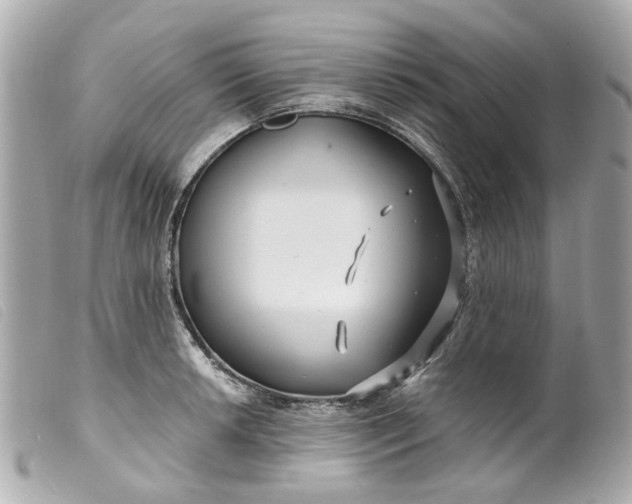 X0000099541042200805301456