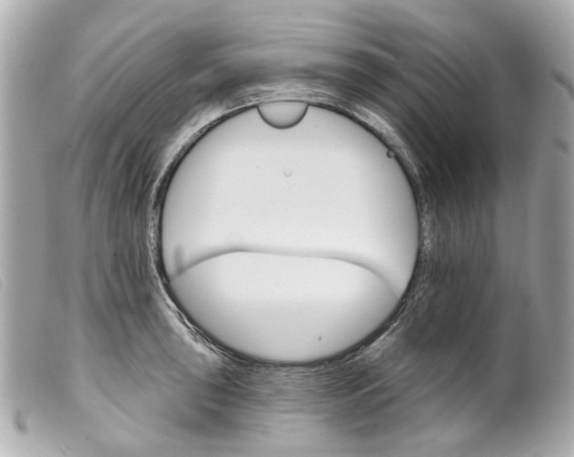 X0000099541043200805301456