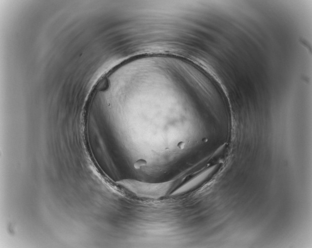 X0000099541045200805301456