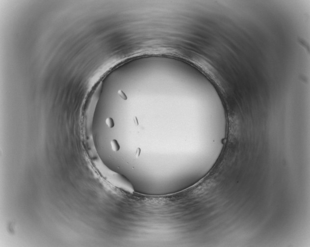 X0000099541046200805301456