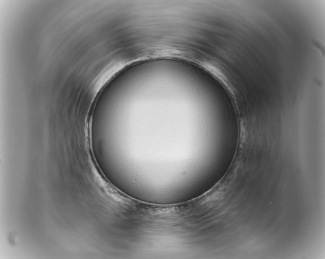 X0000099541047200805301456