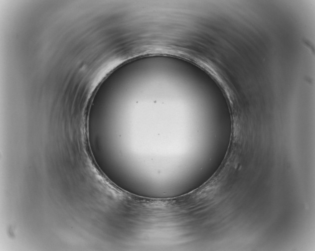 X0000099541048200805301456