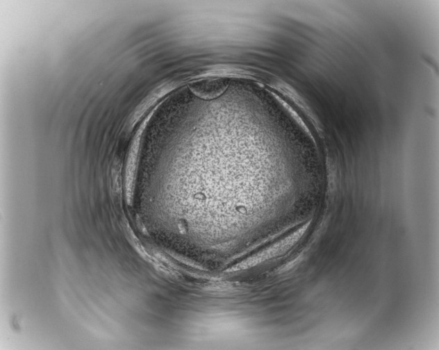 X0000099541049200805301456