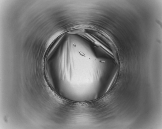 X0000099541050200805301456