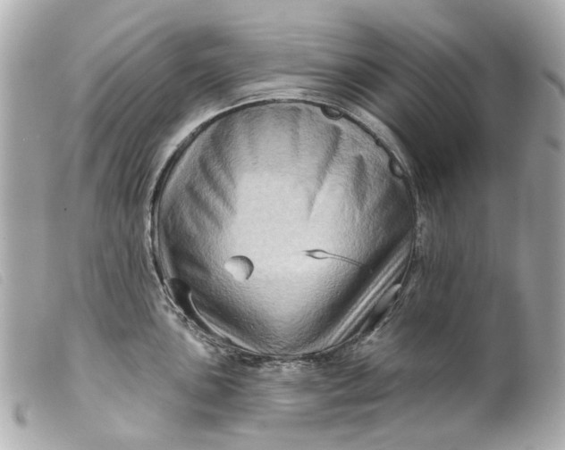 X0000099541051200805301456