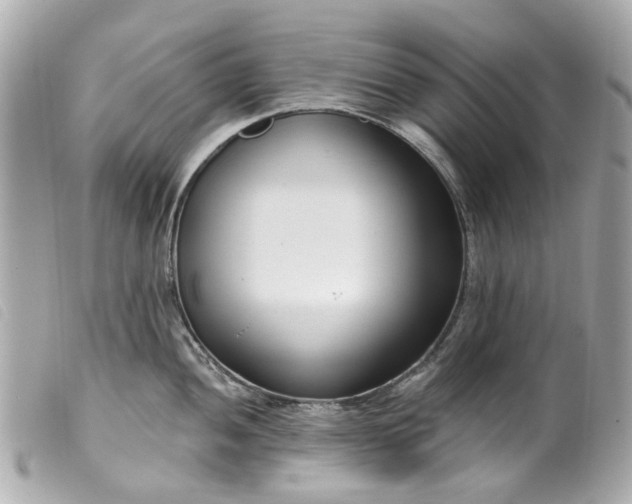 X0000099541052200805301456