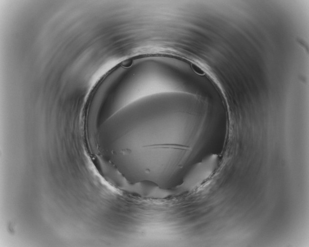 X0000099541053200805301456