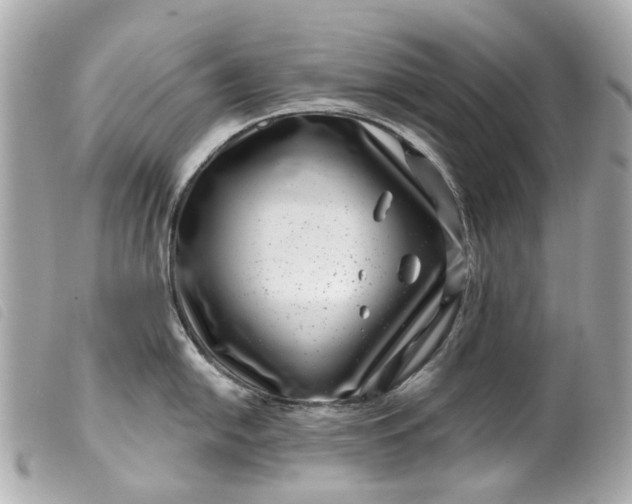 X0000099541054200805301456