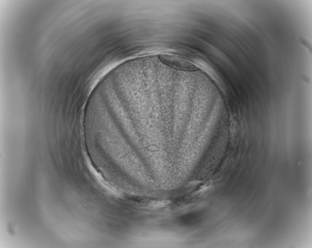 X0000099541055200805301456