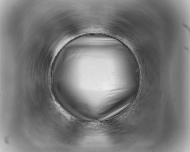 X0000099541056200805301456