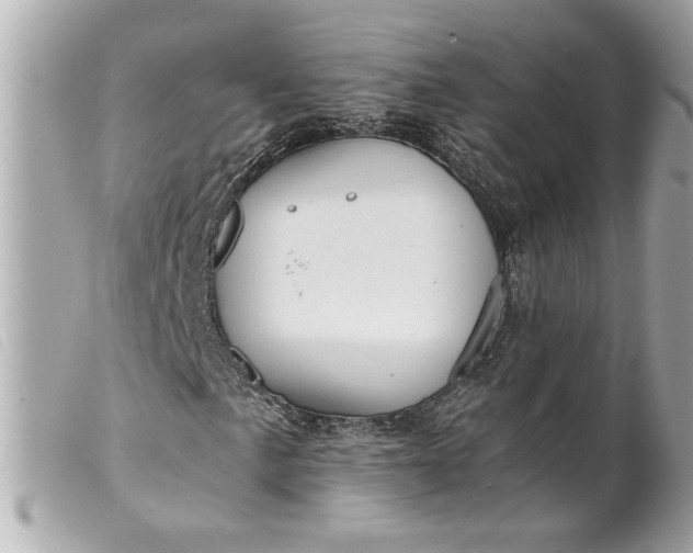 X0000099541057200805301456