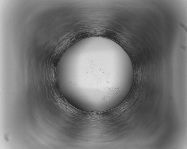 X0000099541058200805301456