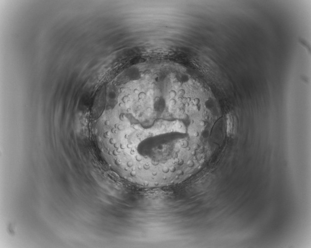 X0000099541059200805301456