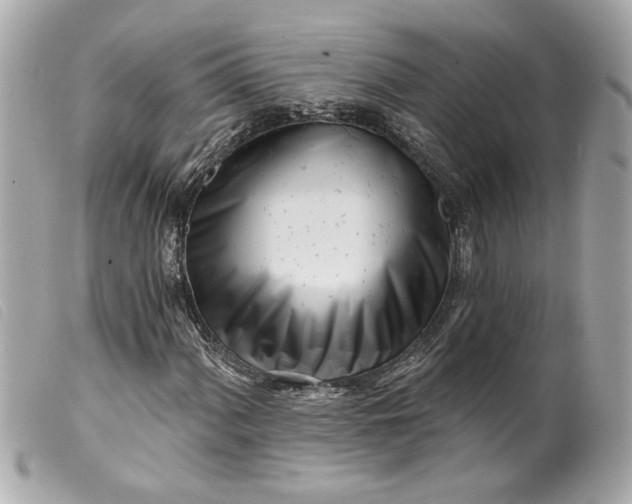 X0000099541060200805301456