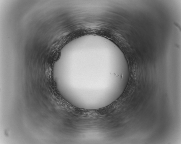 X0000099541061200805301456