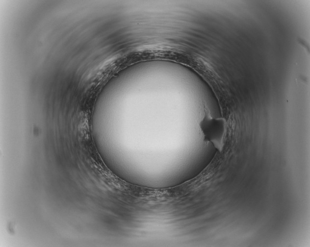 X0000099541062200805301456