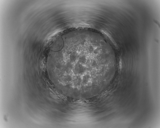 X0000099541063200805301456