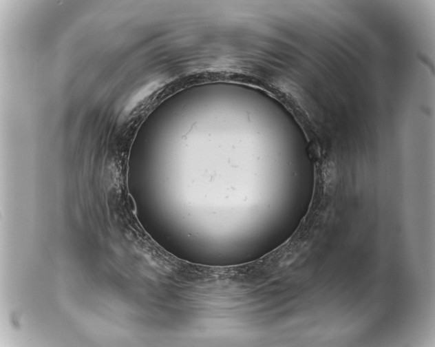 X0000099541064200805301456