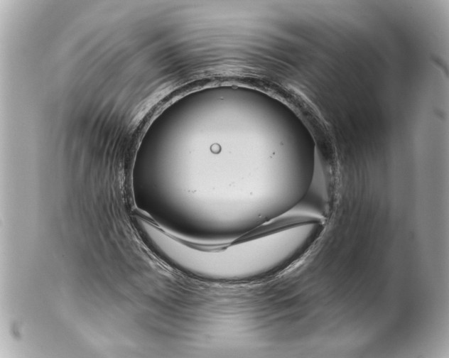 X0000099541065200805301456