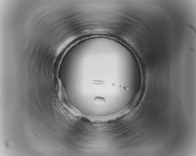 X0000099541066200805301456